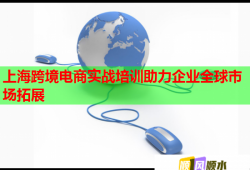 上海跨境电商实战培训助力企业全球市场拓展