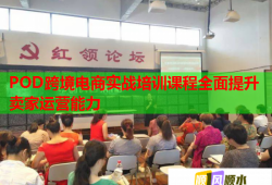 POD跨境电商实战培训课程全面提升卖家运营能力