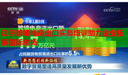 辽宁跨境电商出口实务培训助力企业拓展国际市场