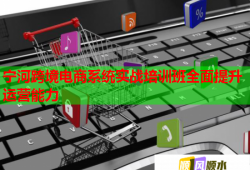 宁河跨境电商系统实战培训班全面提升运营能力