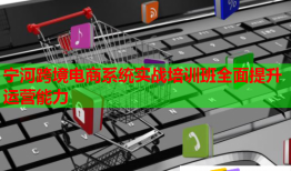 宁河跨境电商系统实战培训班全面提升运营能力