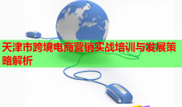 天津市跨境电商营销实战培训与发展策略解析