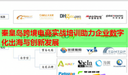 秦皇岛跨境电商实战培训助力企业数字化出海与创新发展