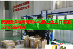 武清跨境电商培训中心助力企业开拓国际市场新机遇