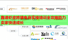 靠谱虾皮跨境电商实操培训全攻略助力卖家快速成长