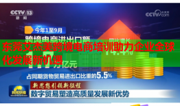 东莞艾杰美跨境电商培训助力企业全球化发展新机遇