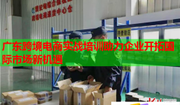 广东跨境电商实战培训助力企业开拓国际市场新机遇