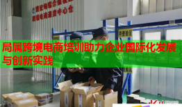 局属跨境电商培训助力企业国际化发展与创新实践
