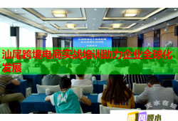 汕尾跨境电商实战培训助力企业全球化发展