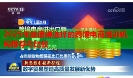 2025年最值得选择的跨境电商培训机构推荐与比较