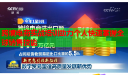 跨境电商实战培训助力个人快速掌握全球销售技能