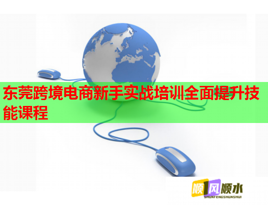 东莞跨境电商新手实战培训全面提升技能课程