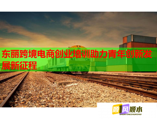东丽跨境电商创业培训助力青年创新发展新征程