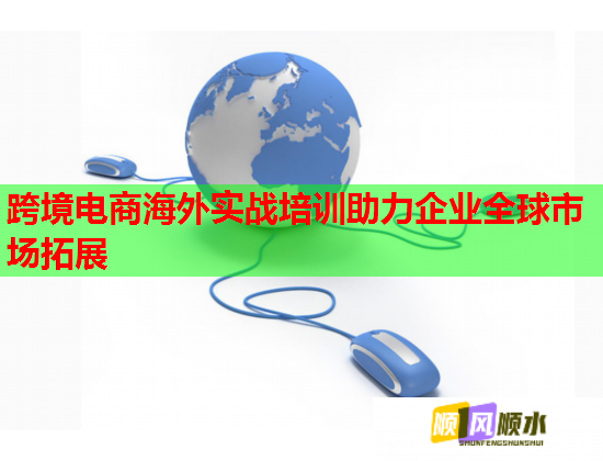 跨境电商海外实战培训助力企业全球市场拓展
