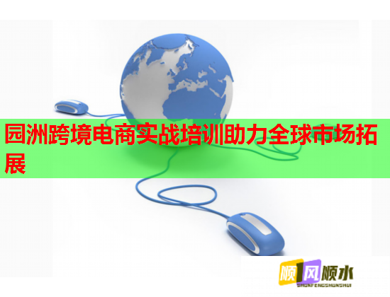 园洲跨境电商实战培训助力全球市场拓展