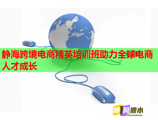 静海跨境电商精英培训班助力全球电商人才成长