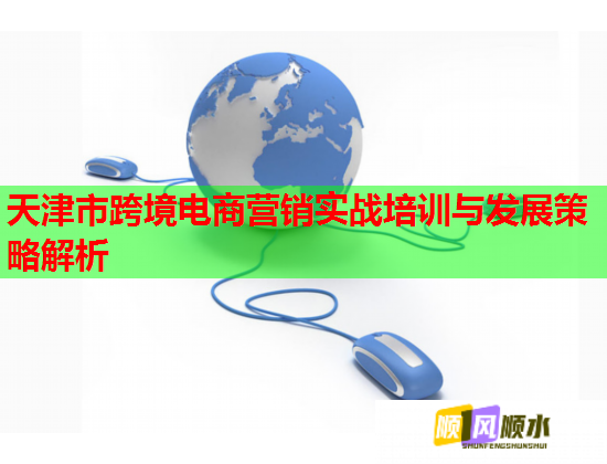 天津市跨境电商营销实战培训与发展策略解析