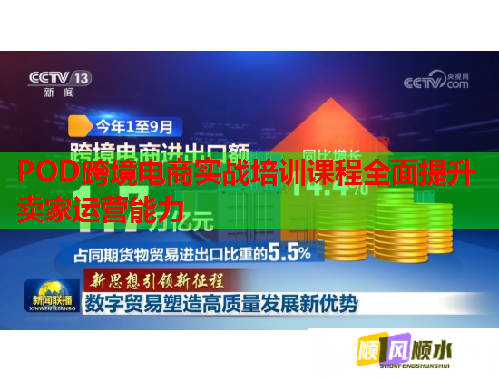 POD跨境电商实战培训课程全面提升卖家运营能力