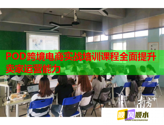 POD跨境电商实战培训课程全面提升卖家运营能力