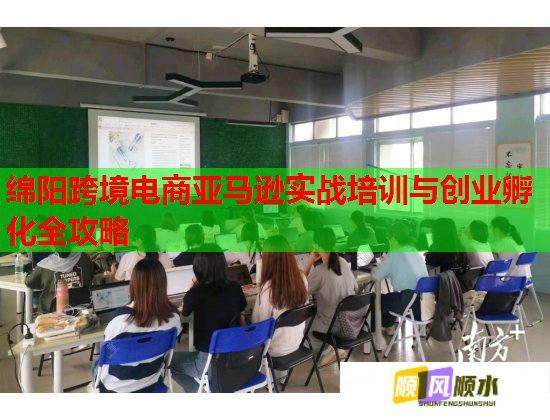 绵阳跨境电商亚马逊实战培训与创业孵化全攻略