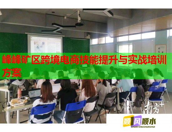 峰峰矿区跨境电商技能提升与实战培训方案 峰峰矿区跨境电商技能提升与实战培训方案