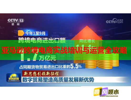 亚马逊跨境电商实战培训与运营全攻略 亚马逊跨境电商实战培训与运营全攻略