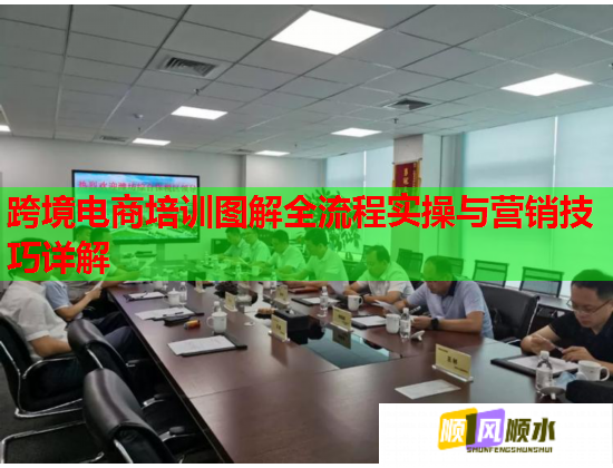 跨境电商培训图解全流程实操与营销技巧详解