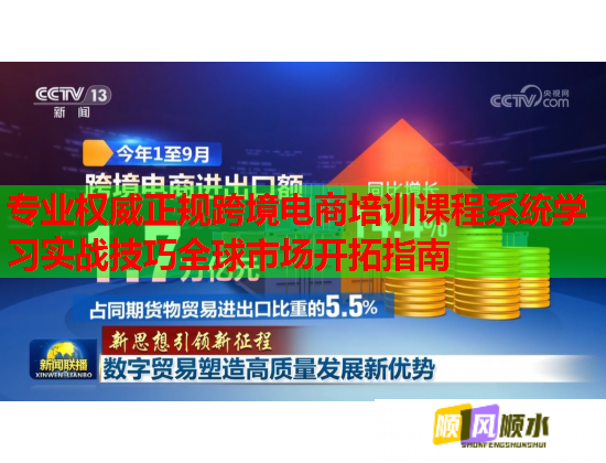 专业权威正规跨境电商培训课程系统学习实战技巧全球市场开拓指南