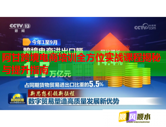 阿甘跨境电商培训全方位实战课程揭秘与提升指南