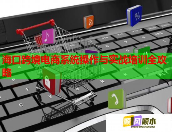 海口跨境电商系统操作与实战培训全攻略 海口跨境电商系统操作与实战培训全攻略