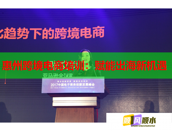 惠州跨境电商培训:赋能出海新机遇 惠州跨境电商培训:赋能出海新机遇