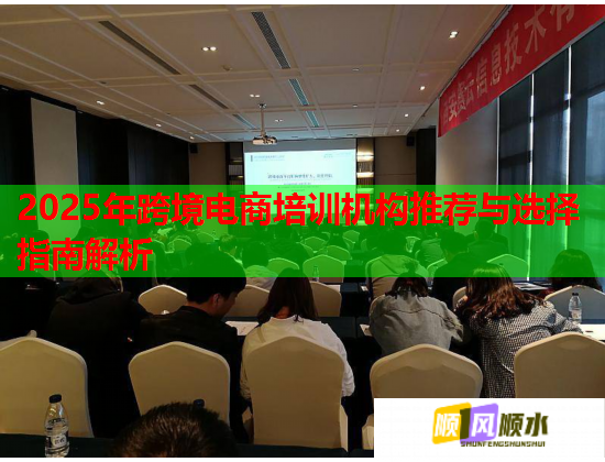 2025年跨境电商培训机构推荐与选择指南解析 2025年跨境电商培训机构推荐与选择指南解析