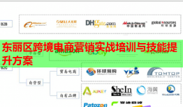 东丽区跨境电商营销实战培训与技能提升方案