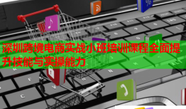 深圳跨境电商实战小班培训课程全面提升技能与实操能力