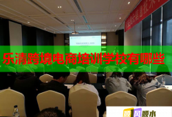 乐清跨境电商培训学校有哪些
