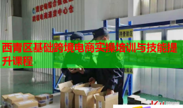 西青区基础跨境电商实操培训与技能提升课程