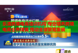 乐清跨境电商培训机构 专业培养跨境电商业界精英 推动全球贸易发展