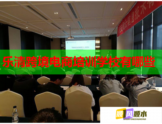 乐清跨境电商培训学校有哪些