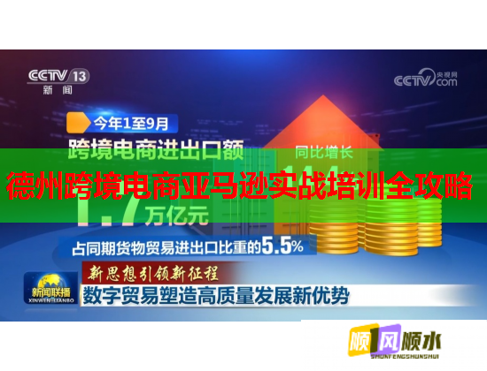 德州跨境电商亚马逊实战培训全攻略
