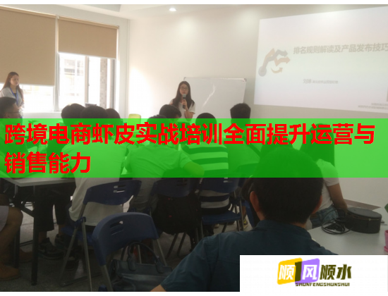 跨境电商虾皮实战培训全面提升运营与销售能力