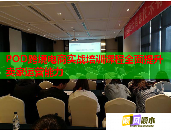 POD跨境电商实战培训课程全面提升卖家运营能力