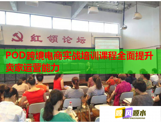 POD跨境电商实战培训课程全面提升卖家运营能力