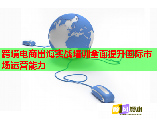 跨境电商出海实战培训全面提升国际市场运营能力