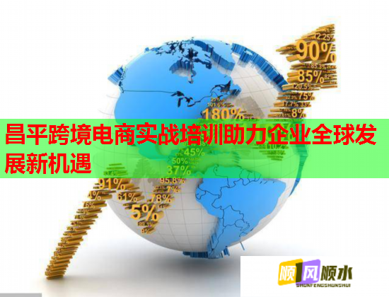昌平跨境电商实战培训助力企业全球发展新机遇